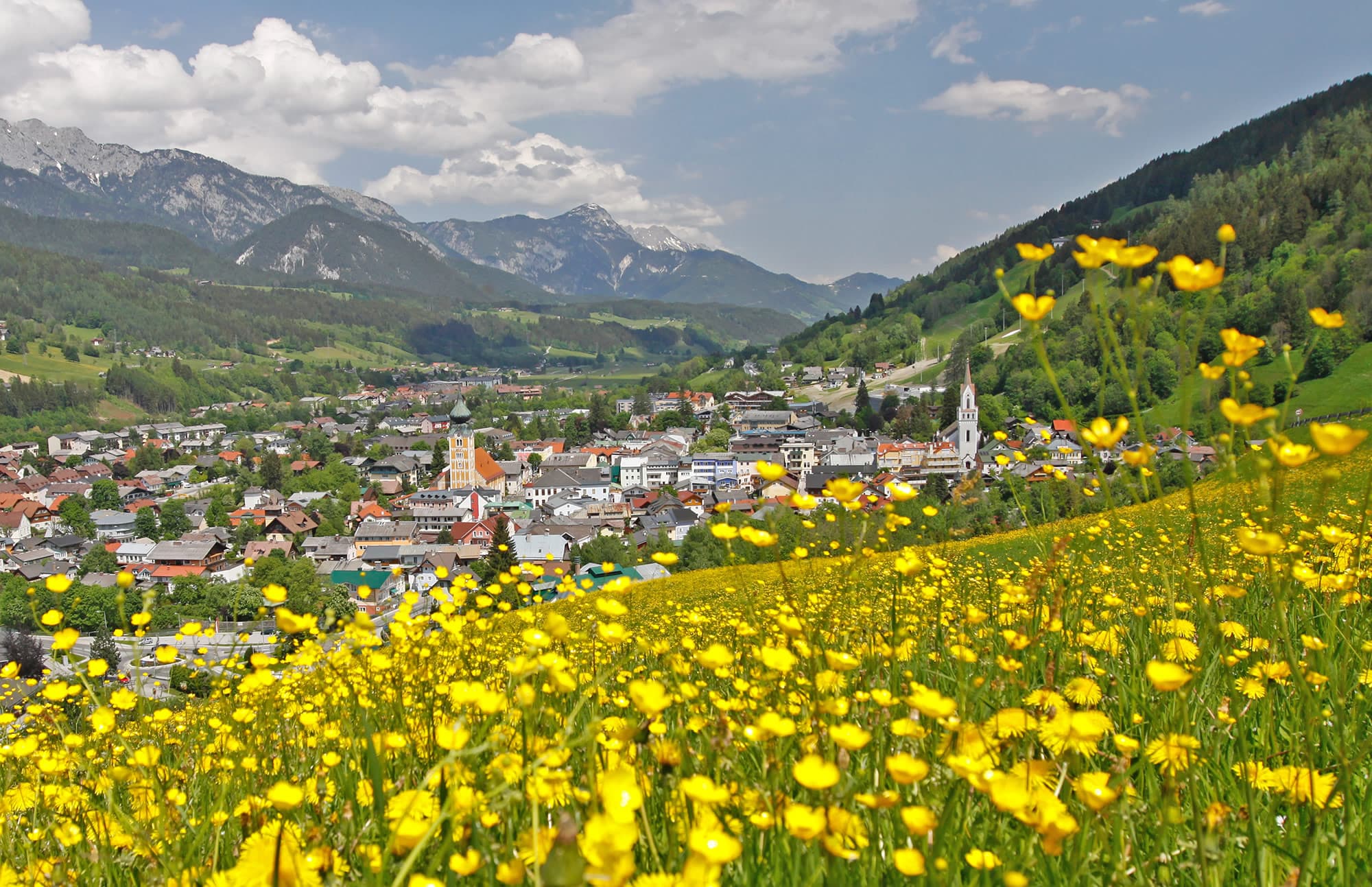 Ansicht Schladming von einer Blumenwiese © Schladming-Dachstein