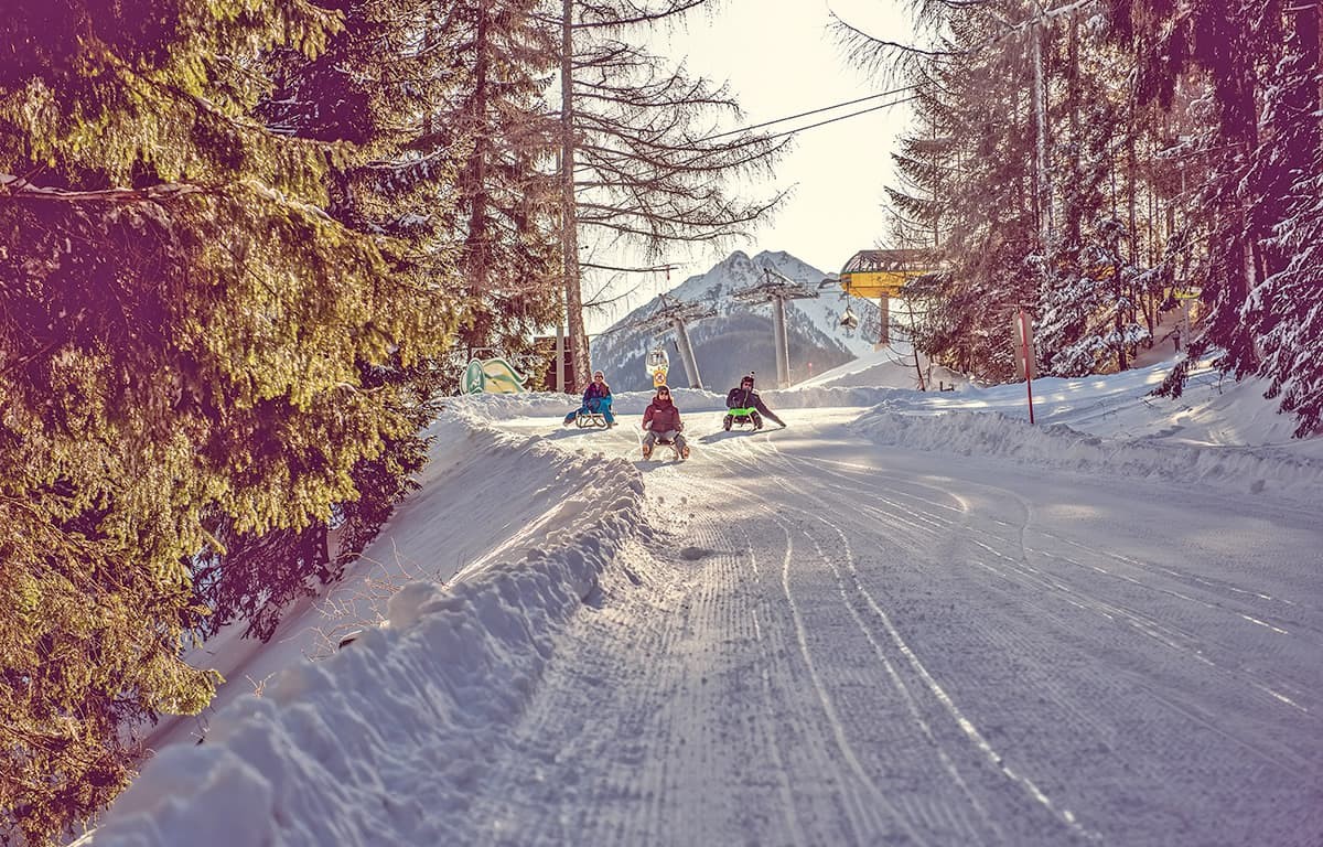 Rodeln &copy; Schladming-Dachstein / Peter Lugosi